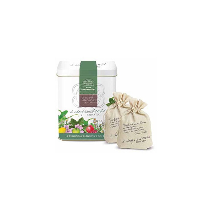 Sacchetti Profumati Spezie di Oltreoceano - I Cinque Sensi (50 g) Erba Vita - Regali Natalizi Sacchetti Profumati Spezie di Oltreoceano - I Cinque Sensi (50 g) Erba Vita - Regali Natalizi