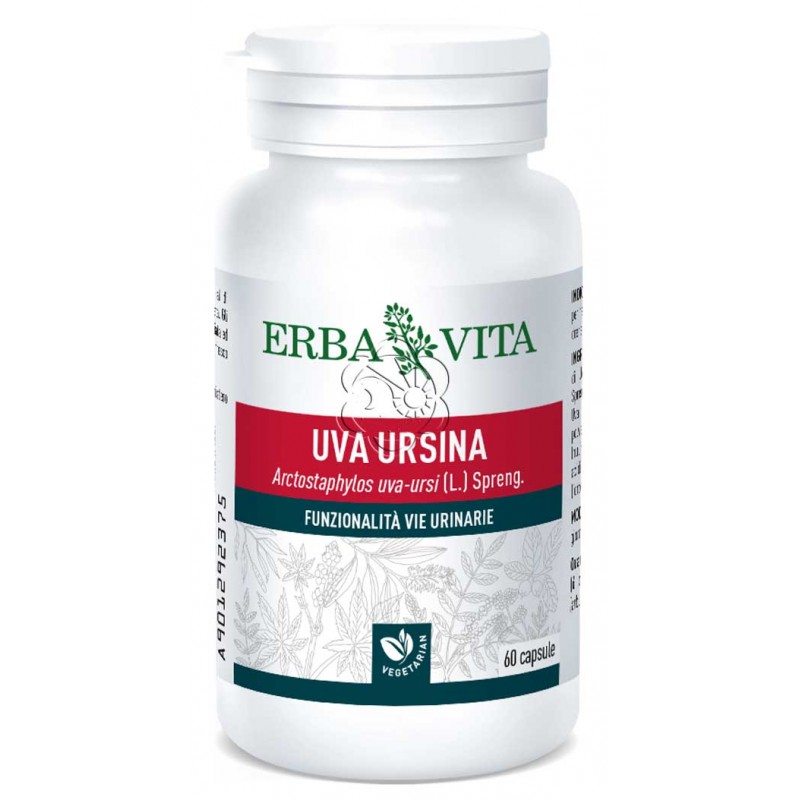 Uva Ursina (60 Capsule) Erba Vita - Cistite Uva Ursina (60 Capsule) Erba Vita - Cistite
